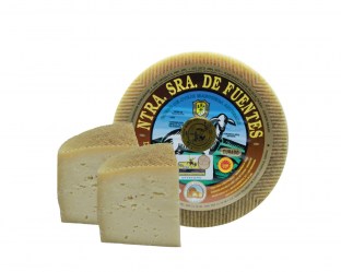 queso-curado-do-la-mancha